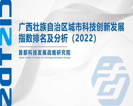 桃桃流水黄色一级片视频网站视频哪里看【成果发布】广西壮族自治区城市科技创新发展指数排名及分析（2022）